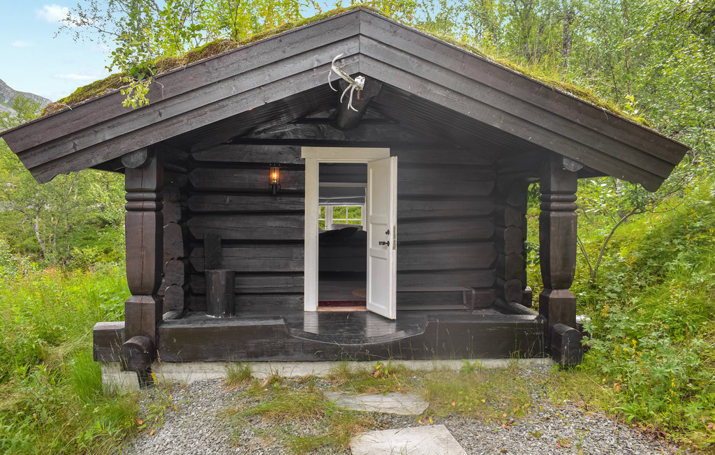 Feriehuse - Hemsedal , Norge - N33455 15