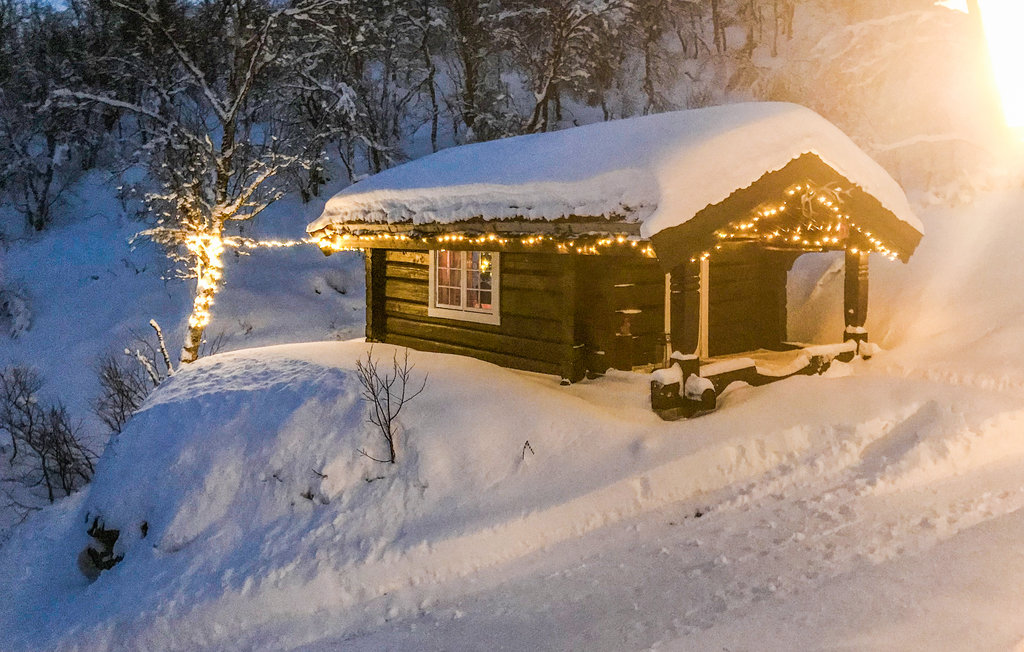 Feriehuse - Hemsedal , Norge - N33455 19