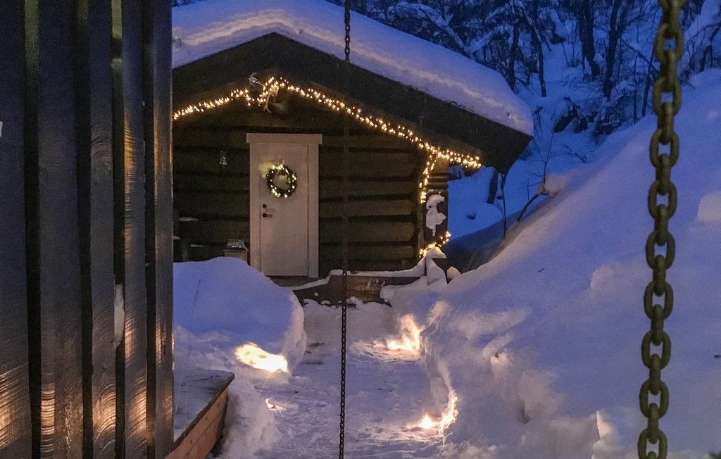 Feriehuse - Hemsedal , Norge - N33455 20