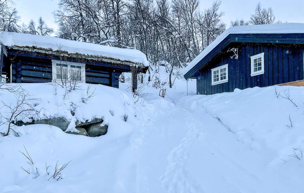 Feriehuse - Hemsedal , Norge - N33455 11