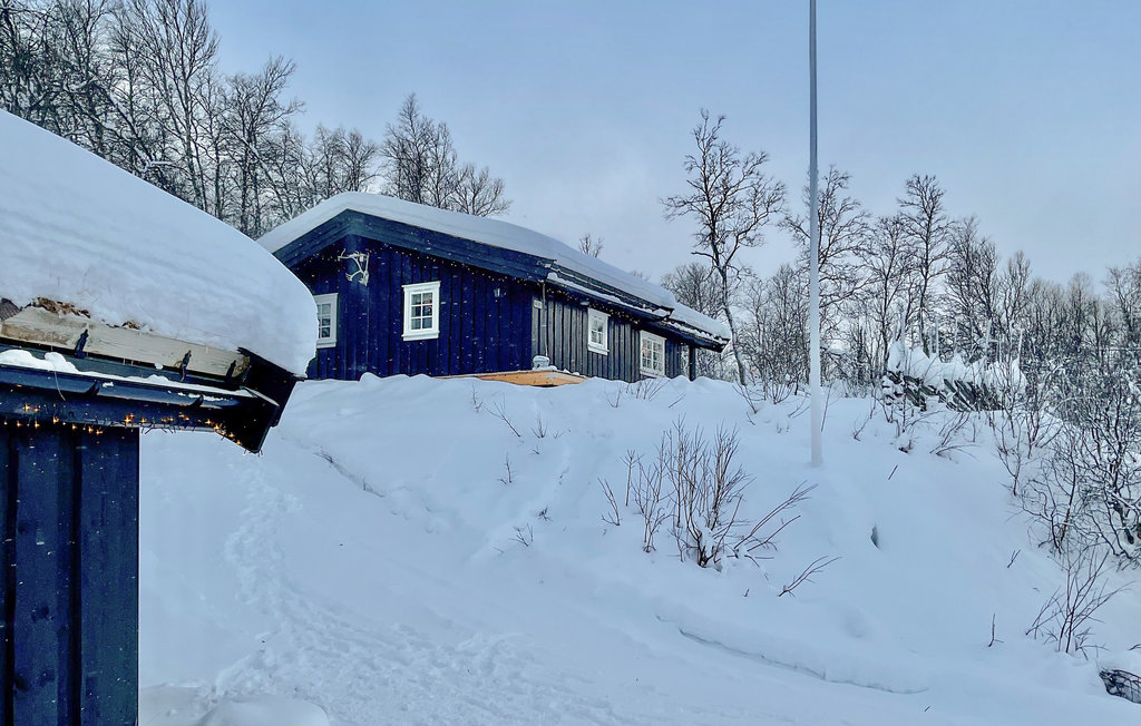 Feriehuse - Hemsedal , Norge - N33455 1