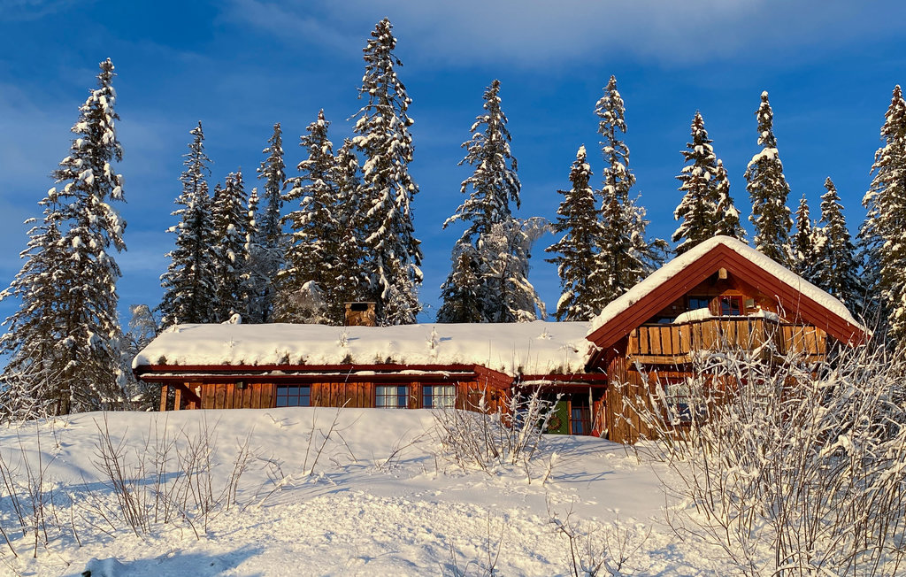 Feriehuse - Norefjell/Viken , Norge - N33245 10