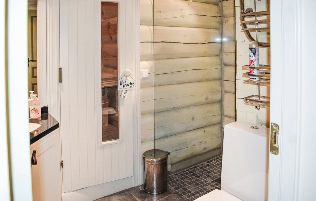 Ferienhaus - Hemsedal , Norwegen - N33308 23