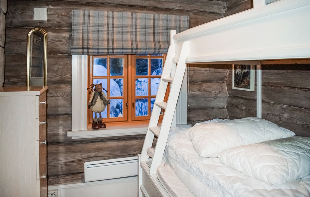 Ferienhaus - Hemsedal , Norwegen - N33308 20