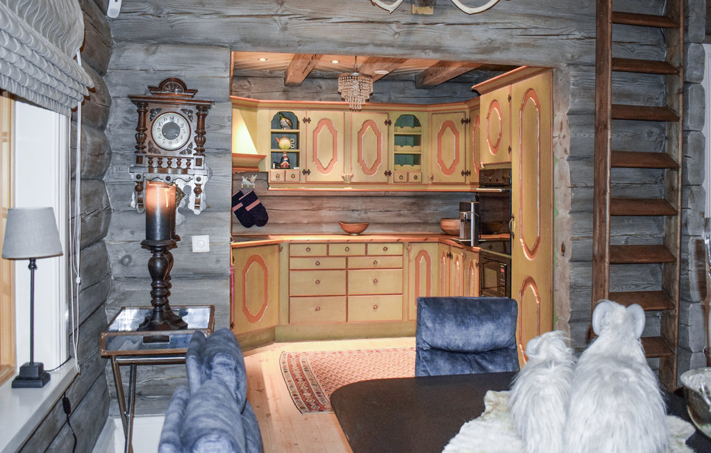 Ferienhaus - Hemsedal , Norwegen - N33308 7