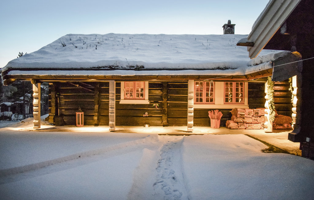 Ferienhaus - Hemsedal , Norwegen - N33308 10