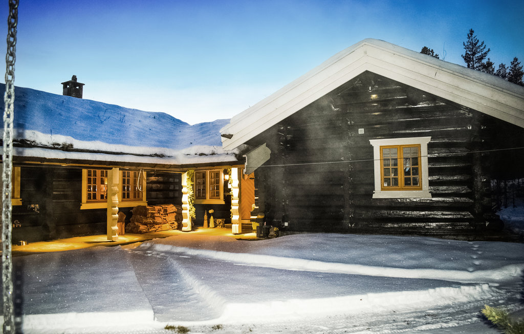 Ferienhaus - Hemsedal , Norwegen - N33308 11