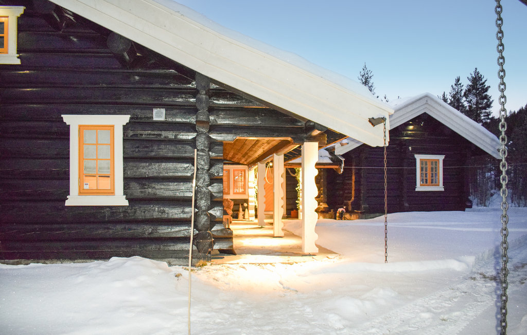 Ferienhaus - Hemsedal , Norwegen - N33308 12