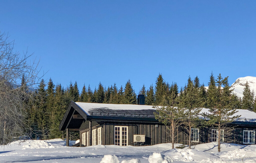Feriehus - Hemsedal , Norge - N33456 6