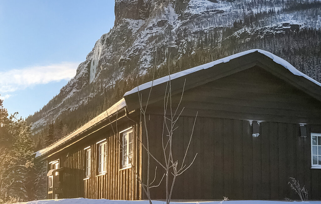 Feriehus - Hemsedal , Norge - N33456 7