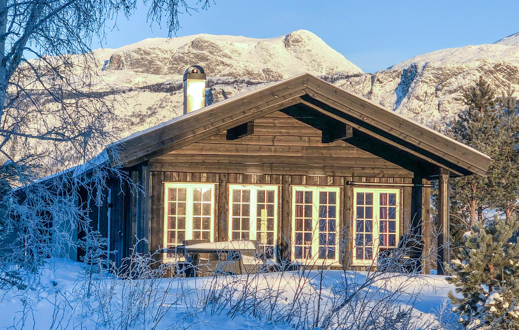 Feriehus - Hemsedal , Norge - N33456 8