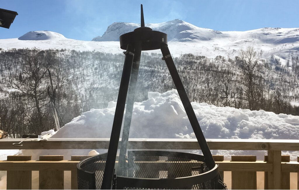 Feriehuse - Uvdal , Norge - N33323 2