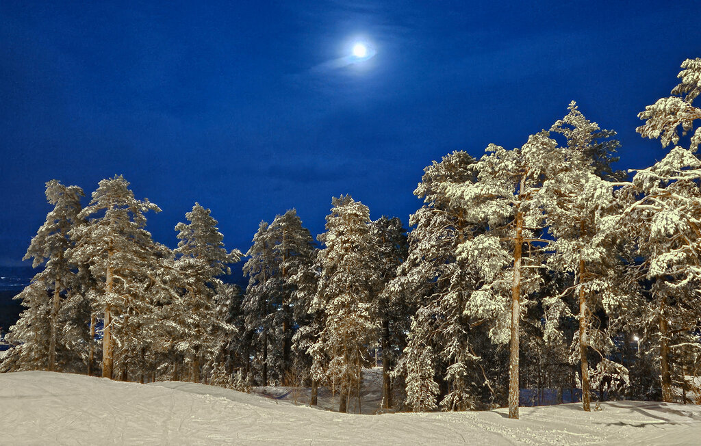 Domy wakacyjne - Kongsberg , Norwegia - N33359 16
