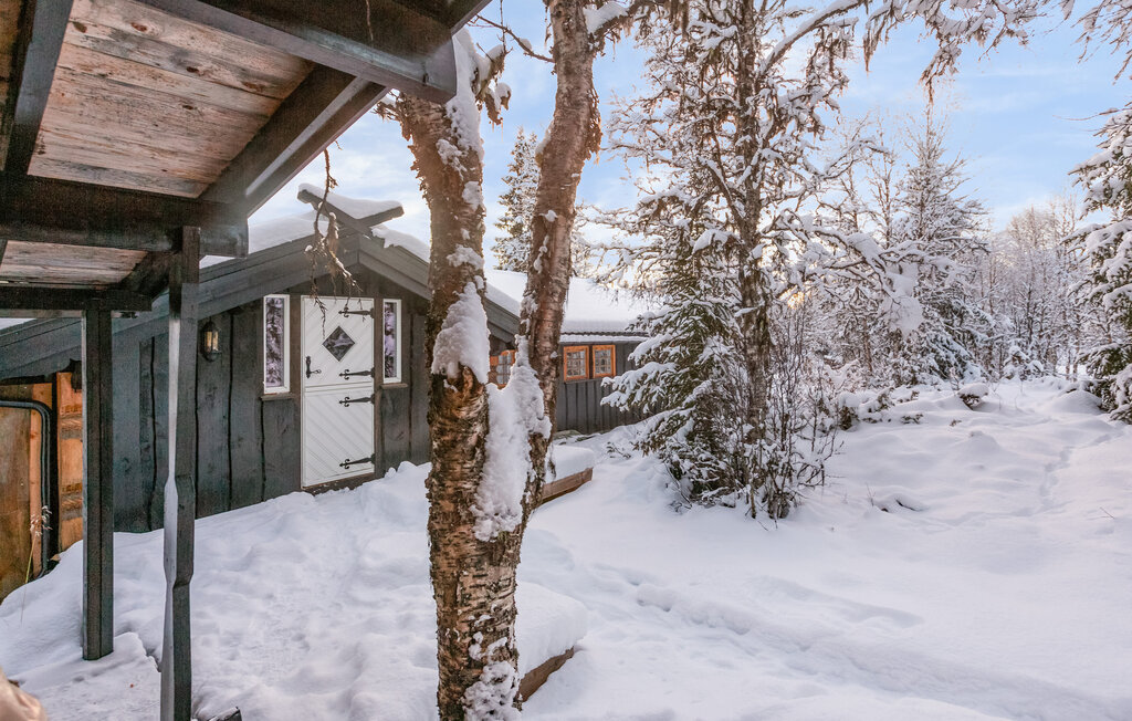 Feriehuse - Golsfjellet , Norge - N33336 11