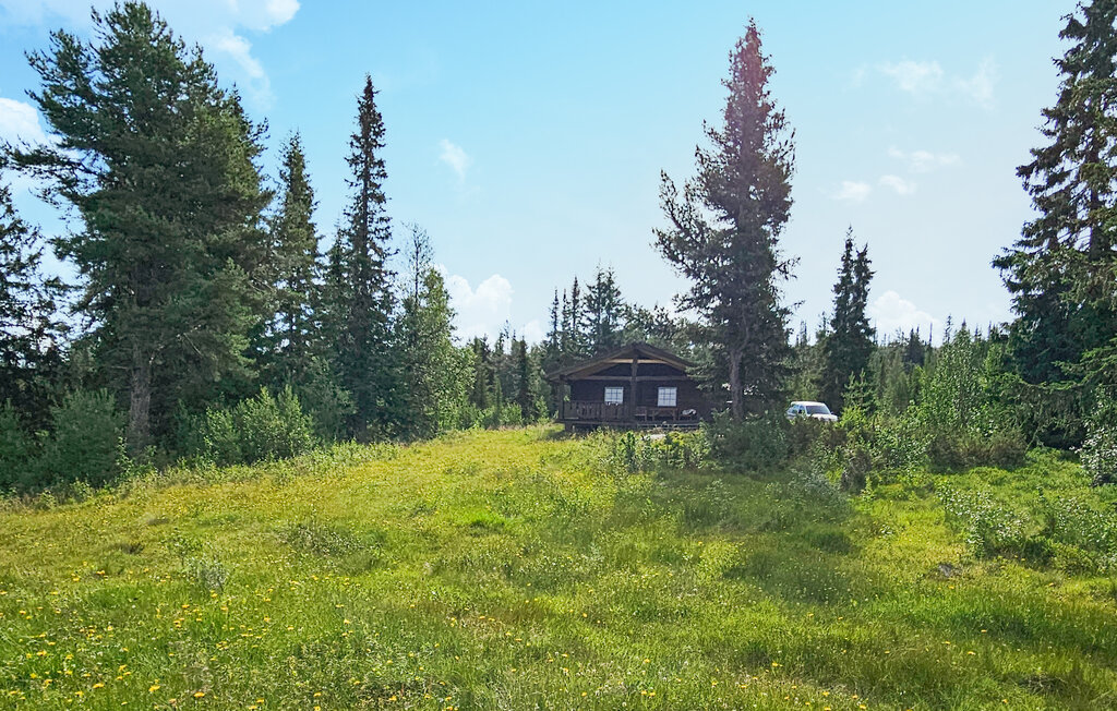 Semesterhus - Golsfjellet , Norge - N33191 4