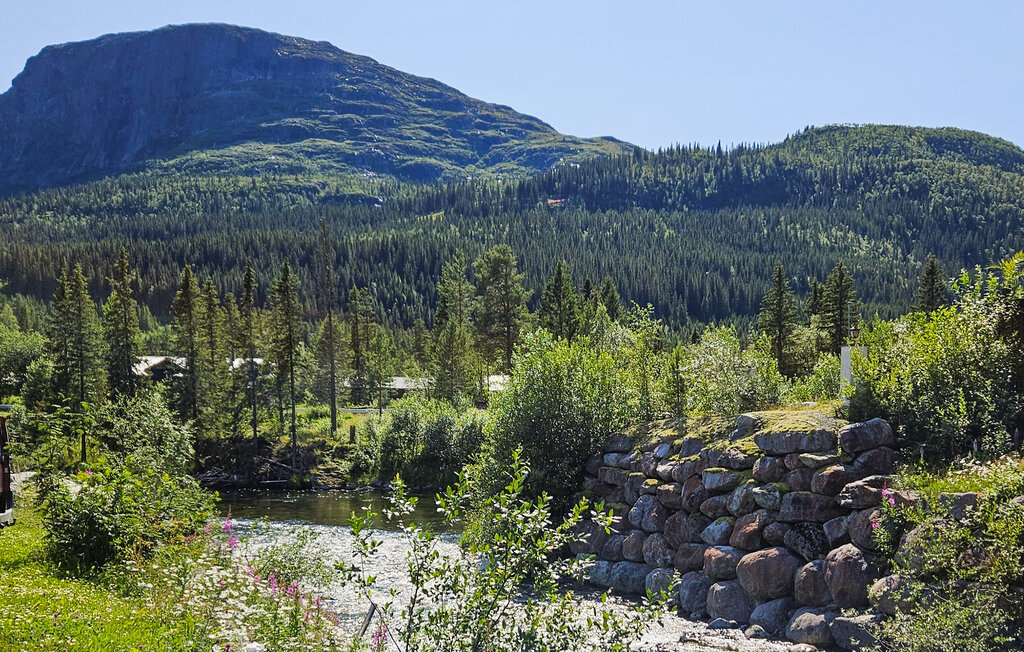 
Holiday rental - Skarsnuten/Hemsedal , Norway - N33355 15