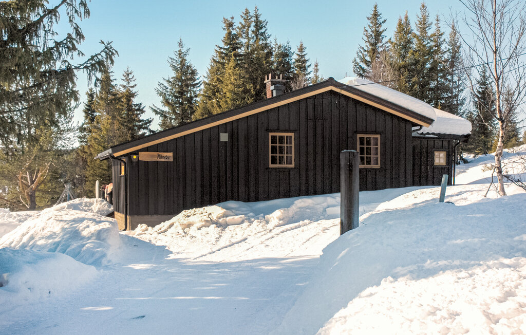 Feriehus - Nesbyen/Myking , Norge - N33779 6