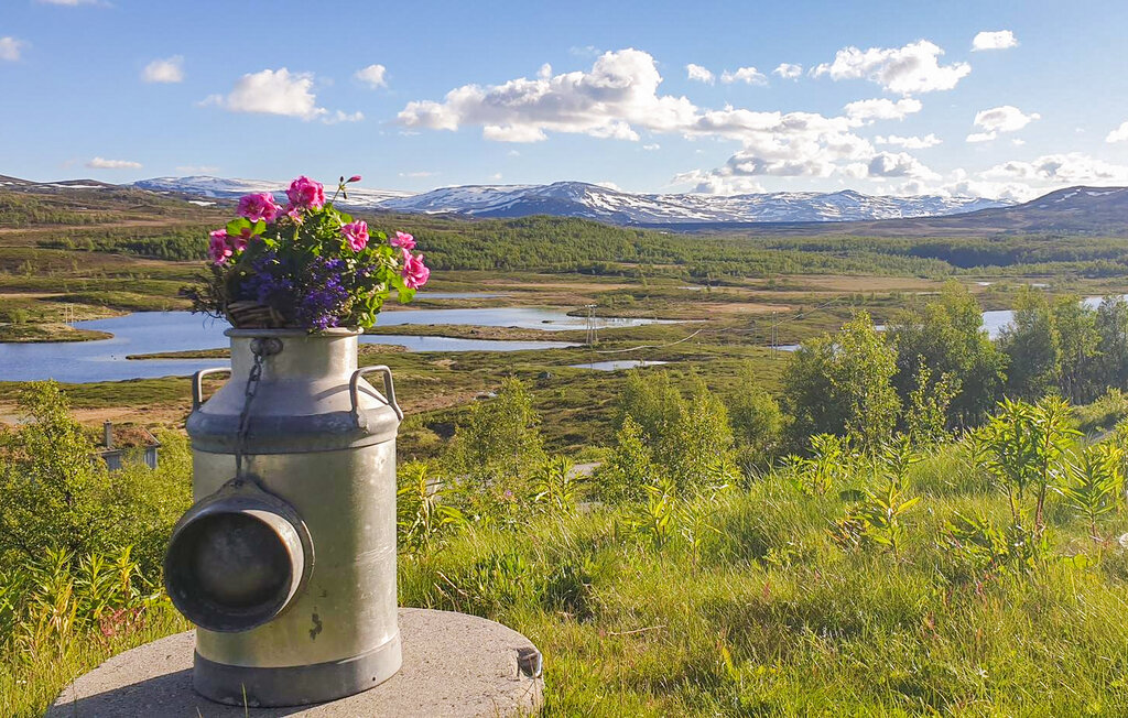 Feriehuse - Hemsedal , Norge - N33369 12