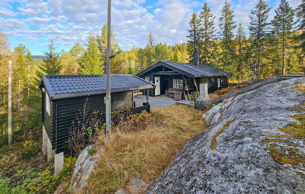 Feriehuse - Tempelseter/Eggedal , Norge - N33391 1