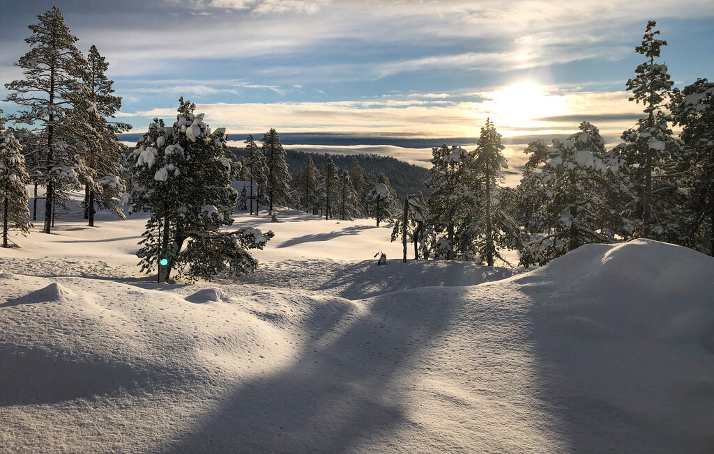 Feriehuse - Sørbølfjell , Norge - N33426 27