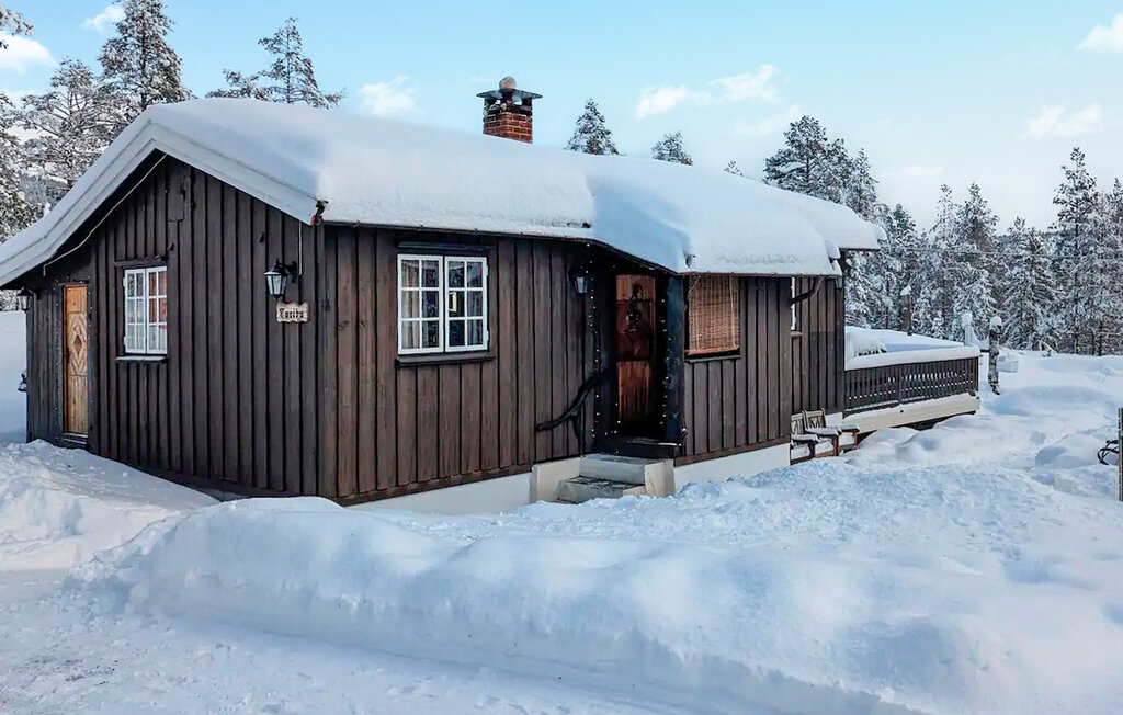 Feriehuse - Blefjell , Norge - N33398 12