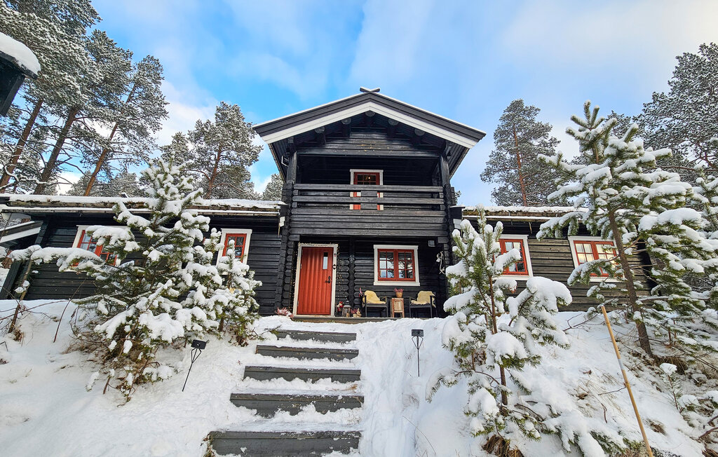 Domy wakacyjne - Hallingskarvet skibyen , Norwegia - N33397 10