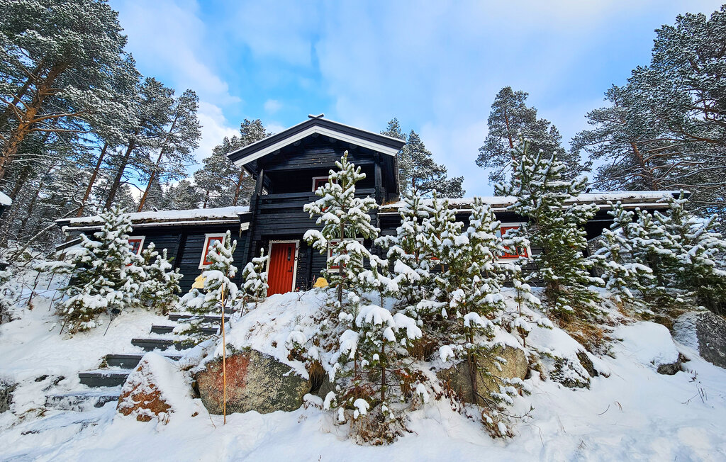 Domy wakacyjne - Hallingskarvet skibyen , Norwegia - N33397 11