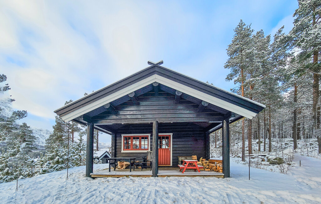 Domy wakacyjne - Hallingskarvet skibyen , Norwegia - N33397 9