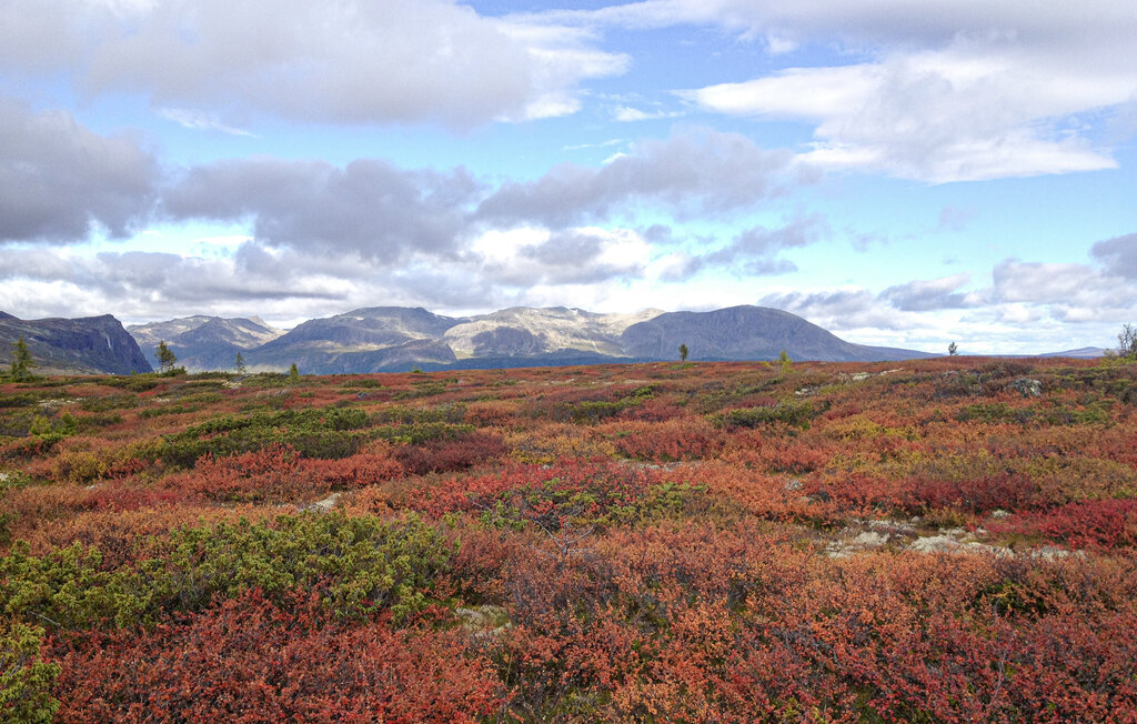 Feriehuse - Uvdal , Norge - N33285 28