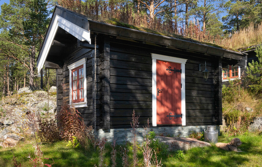 Domy wakacyjne - Hallingskarvet skibyen , Norwegia - N33397 15