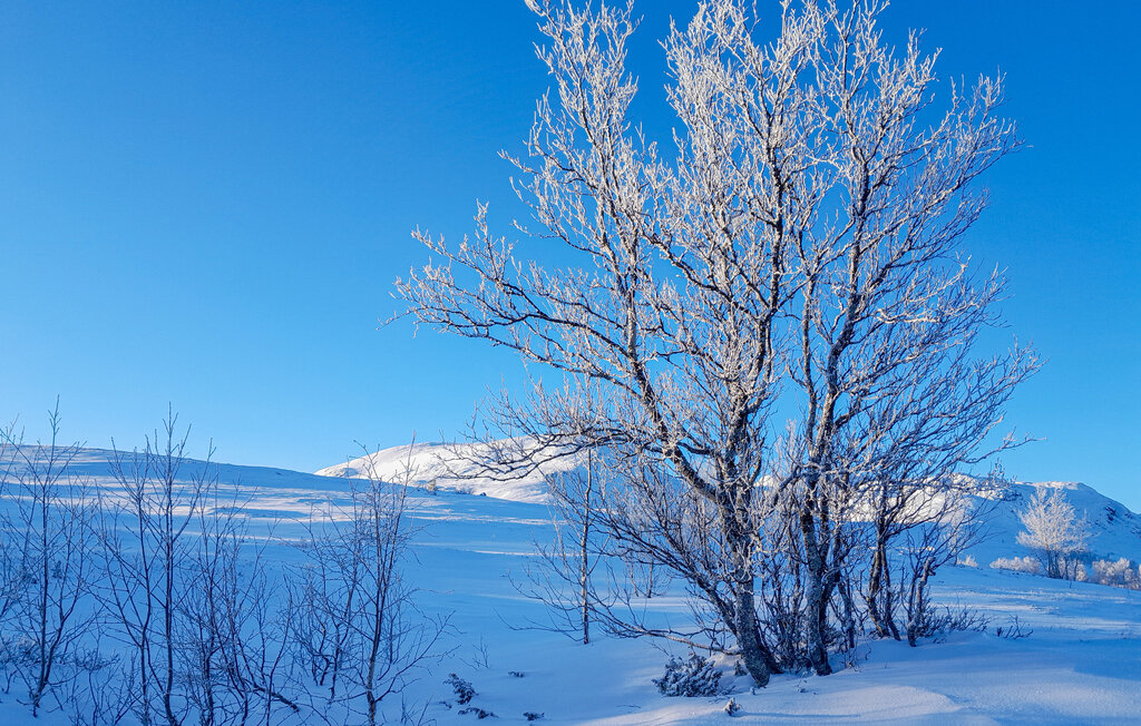 Feriehuse - Uvdal , Norge - N33235 35