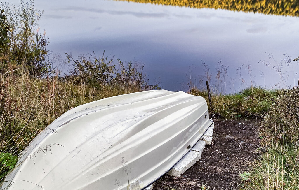 Feriehus - Nesbyen / Myking , Norge - N33494 29