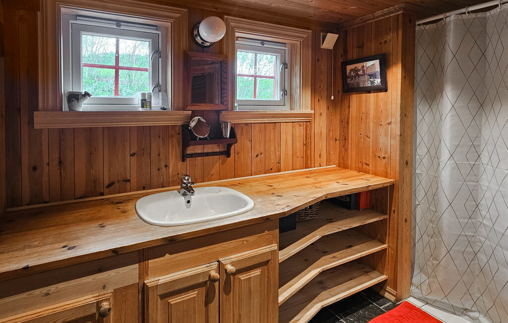 Ferienhaus - Hemsedal/Holdeskaret , Norwegen - N33498 14