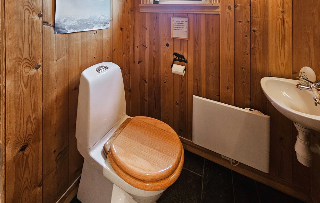 Ferienhaus - Hemsedal/Holdeskaret , Norwegen - N33498 16