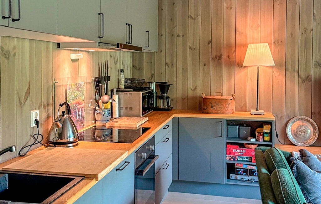 Ferienwohnung - Hemsedal/Fjellnest , Norwegen - N33503 6