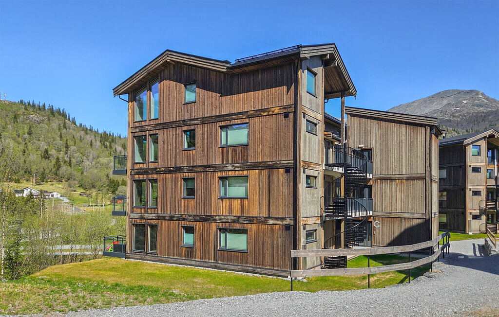 Ferienwohnung - Hemsedal/Fjellnest , Norwegen - N33503 8