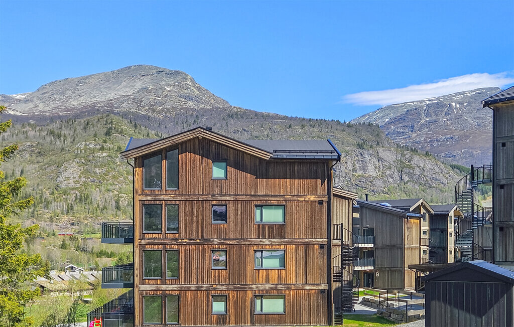 Ferienwohnung - Hemsedal/Fjellnest , Norwegen - N33503 9