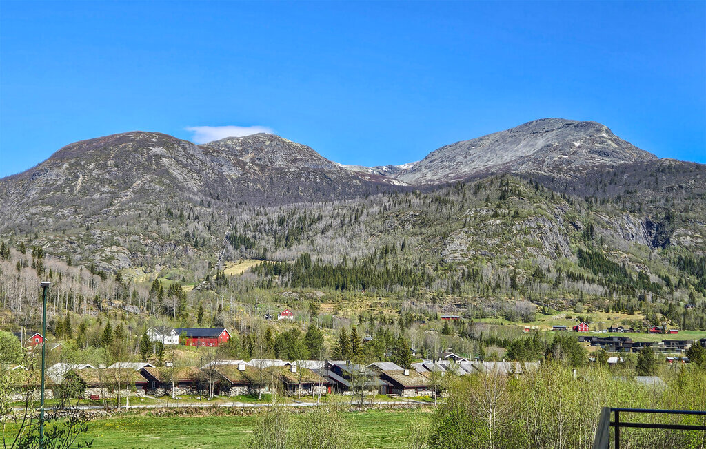 Ferienwohnung - Hemsedal/Fjellnest , Norwegen - N33503 10