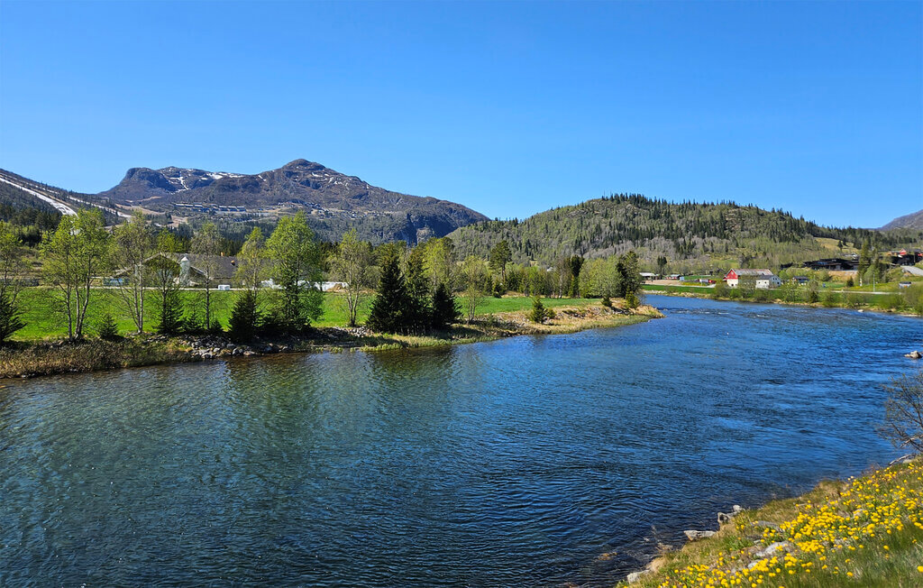Ferienwohnung - Hemsedal/Fjellnest , Norwegen - N33503 11