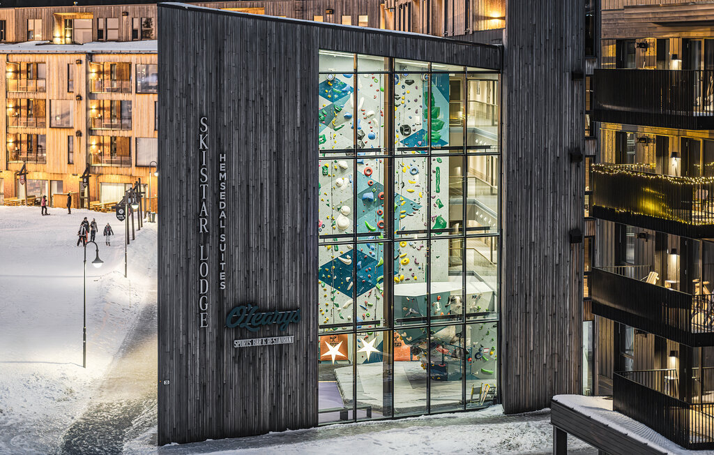 Ferienwohnung - Hemsedal , Norwegen - N33492 2