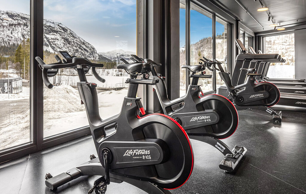 Ferienwohnung - Hemsedal , Norwegen - N33492 9