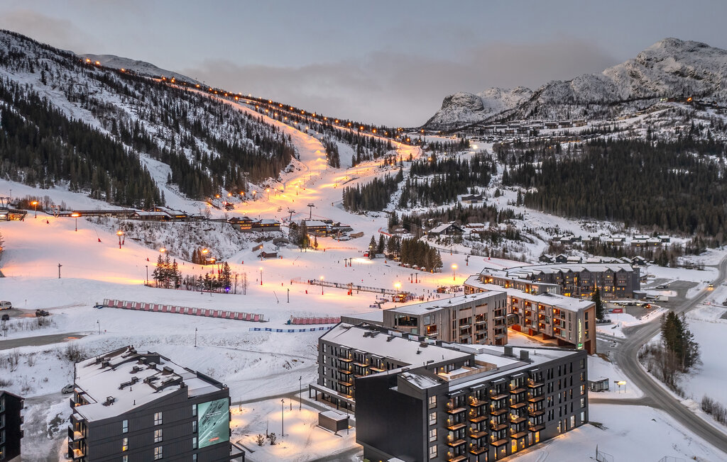 Ferienwohnung - Hemsedal , Norwegen - N33492 1