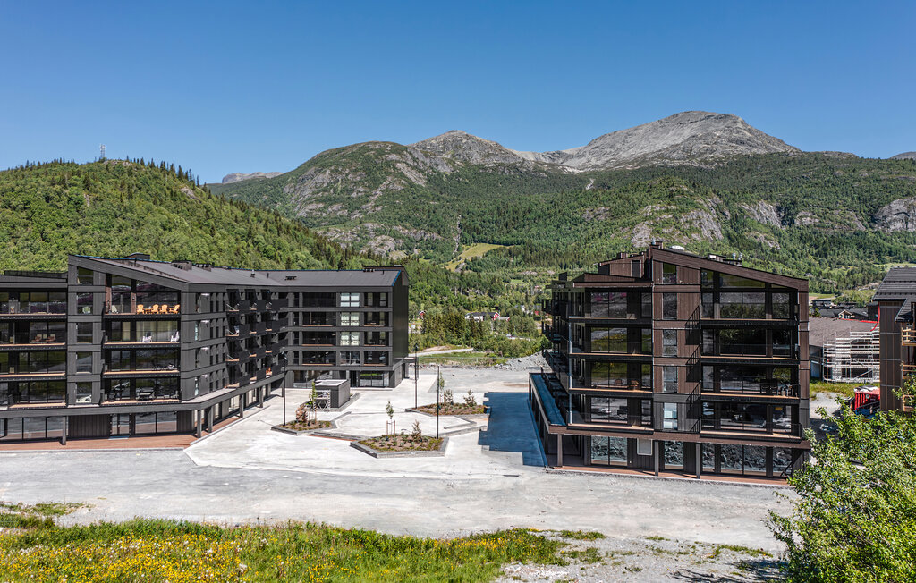 Ferienwohnung - Hemsedal , Norwegen - N33492 11