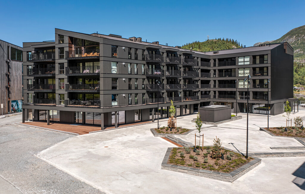 Ferienwohnung - Hemsedal , Norwegen - N33492 12