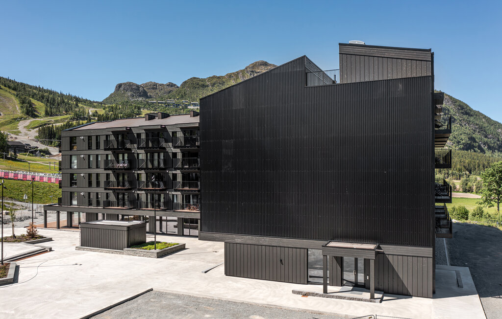 Ferienwohnung - Hemsedal , Norwegen - N33492 13