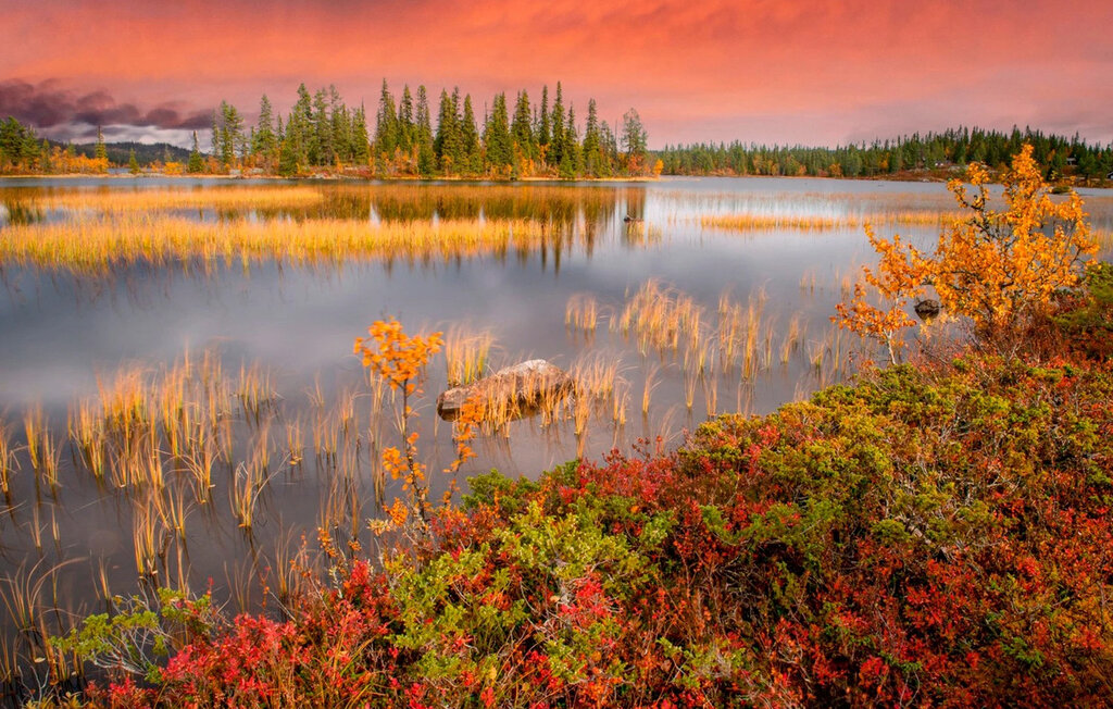 Feriehuse - Nesfjell , Norge - N33528 20