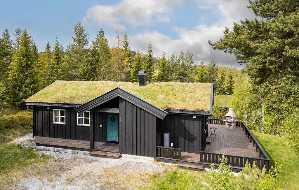 Feriehuse - Nesfjell , Norge - N33528 11