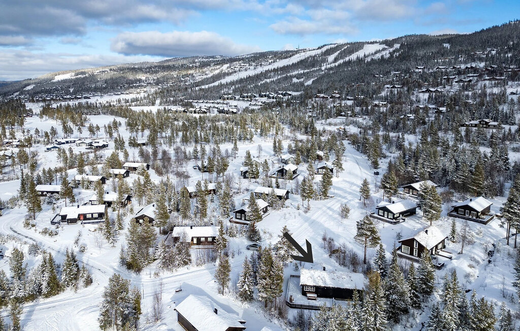 Feriehuse - Nesfjell , Norge - N33528 7