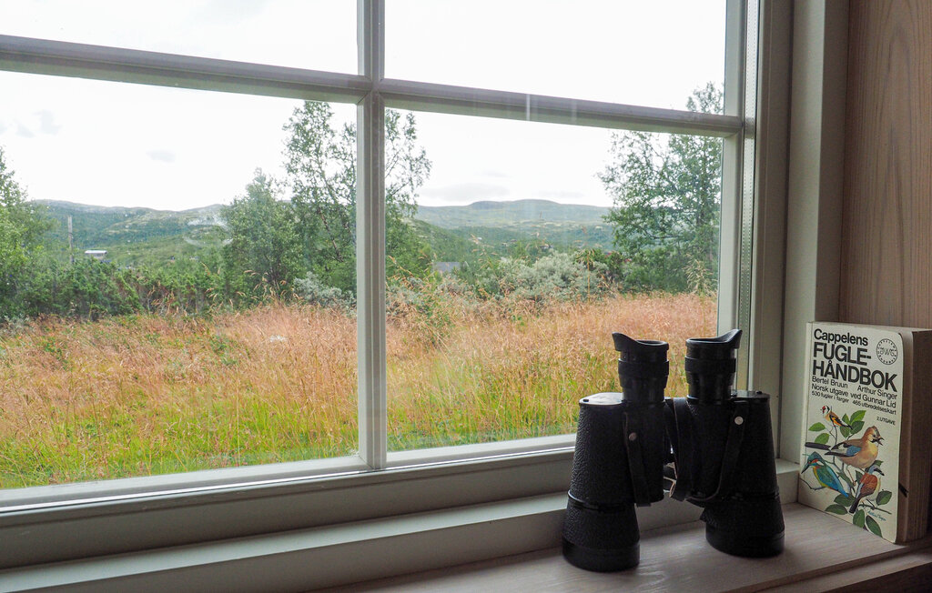 Feriehuse - Ustaoset, Geilo , Norge - N33249 15