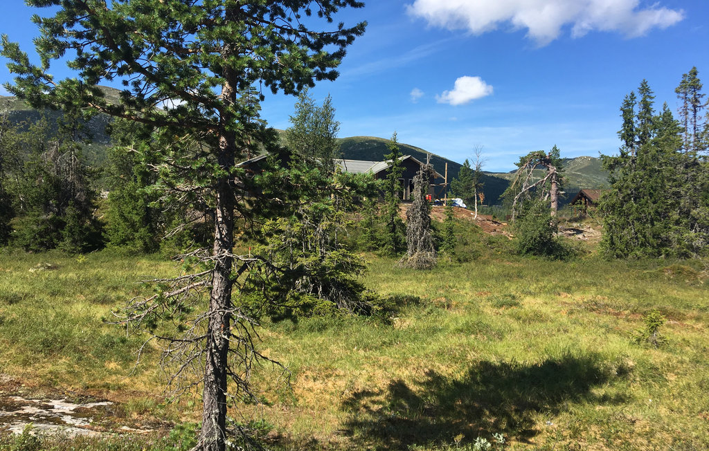 Genießen Sie die Ruhe und den Panoramablick in diesem charmanten Ferienhaus im Hallingdal.

Dieses wunderschöne und moderne Ferienhaus auf einer Anhöhe bietet Ihnen ungestörte Tage inmitten einer ..
